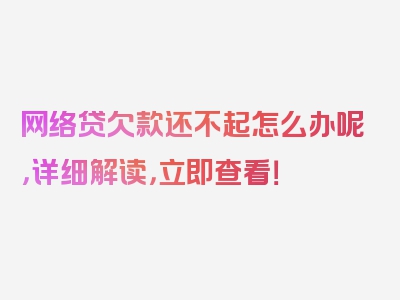 网络贷欠款还不起怎么办呢，详细解读，立即查看！