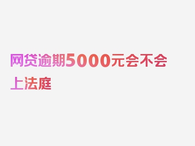 网贷逾期5000元会不会上法庭