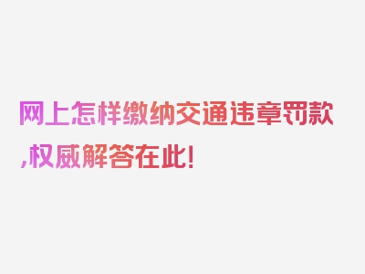 网上怎样缴纳交通违章罚款，权威解答在此！