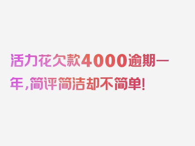 活力花欠款4000逾期一年，简评简洁却不简单！