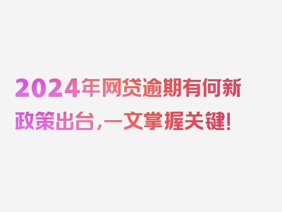 2024年网贷逾期有何新政策出台，一文掌握关键！