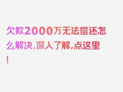 欠款2000万无法偿还怎么解决，深入了解，点这里！