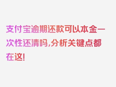 支付宝逾期还款可以本金一次性还清吗，分析关键点都在这！