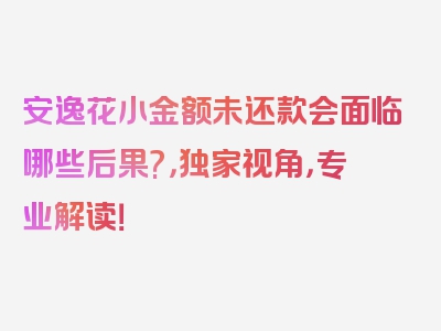 安逸花小金额未还款会面临哪些后果?，独家视角，专业解读！