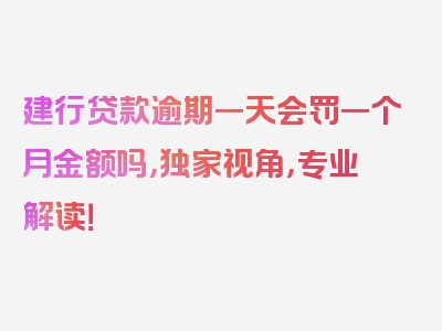 建行贷款逾期一天会罚一个月金额吗，独家视角，专业解读！