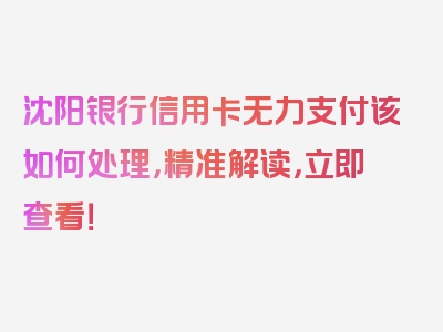 沈阳银行信用卡无力支付该如何处理，精准解读，立即查看！