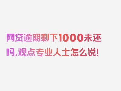 网贷逾期剩下1000未还吗，观点专业人士怎么说！