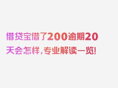 借贷宝借了200逾期20天会怎样，专业解读一览！