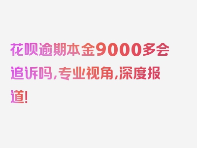 花呗逾期本金9000多会追诉吗，专业视角，深度报道！