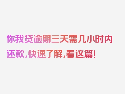 你我贷逾期三天需几小时内还款，快速了解，看这篇！