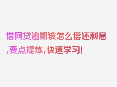 借网贷逾期该怎么偿还利息，要点提炼，快速学习！