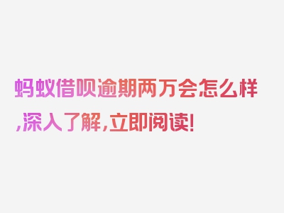 蚂蚁借呗逾期两万会怎么样，深入了解，立即阅读！