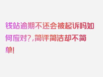 钱站逾期不还会被起诉吗如何应对?，简评简洁却不简单！