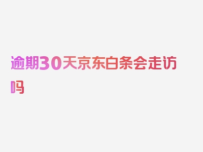 逾期30天京东白条会走访吗