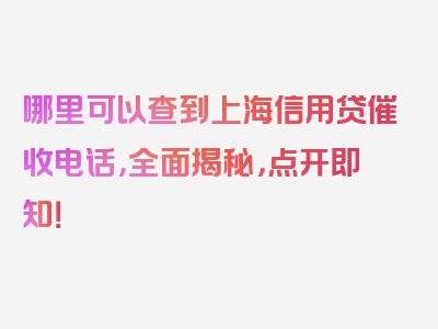 哪里可以查到上海信用贷催收电话，全面揭秘，点开即知！