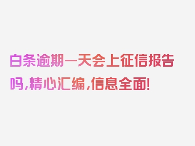 白条逾期一天会上征信报告吗，精心汇编，信息全面！