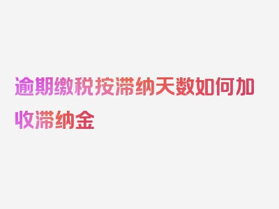 逾期缴税按滞纳天数如何加收滞纳金