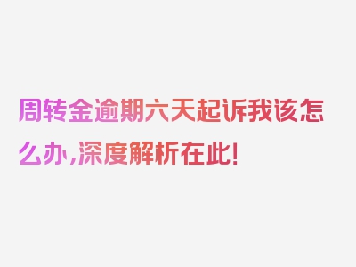 周转金逾期六天起诉我该怎么办，深度解析在此！