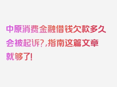 中原消费金融借钱欠款多久会被起诉?，指南这篇文章就够了！