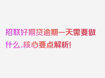 招联好期贷逾期一天需要做什么，核心要点解析！