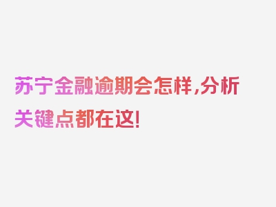 苏宁金融逾期会怎样，分析关键点都在这！