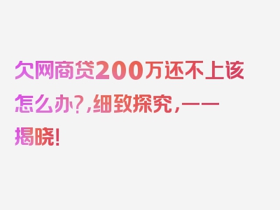 欠网商贷200万还不上该怎么办?，细致探究，一一揭晓！