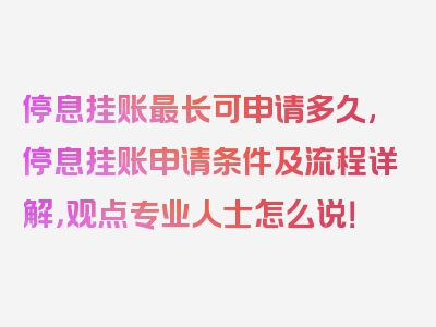 停息挂账最长可申请多久,停息挂账申请条件及流程详解，观点专业人士怎么说！