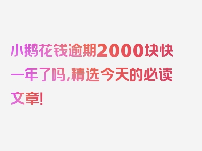 小鹅花钱逾期2000块快一年了吗，精选今天的必读文章！