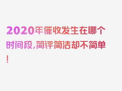 2020年催收发生在哪个时间段，简评简洁却不简单！