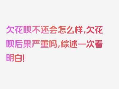 欠花呗不还会怎么样,欠花呗后果严重吗，综述一次看明白！