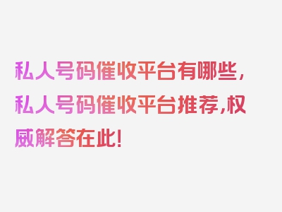 私人号码催收平台有哪些,私人号码催收平台推荐，权威解答在此！