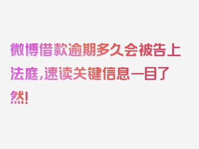 微博借款逾期多久会被告上法庭，速读关键信息一目了然！