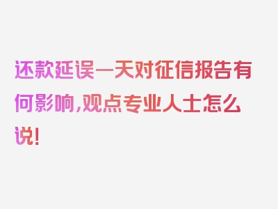 还款延误一天对征信报告有何影响，观点专业人士怎么说！