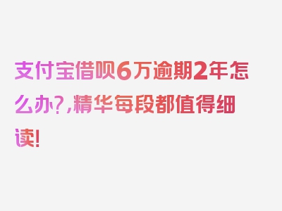 支付宝借呗6万逾期2年怎么办?，精华每段都值得细读！