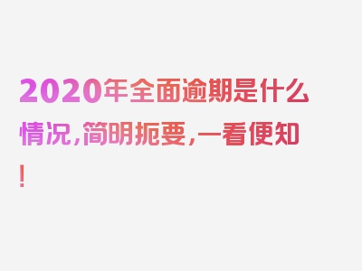 2020年全面逾期是什么情况，简明扼要，一看便知！