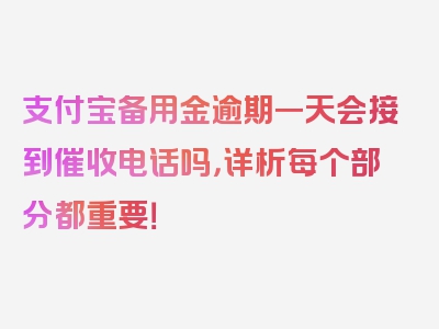 支付宝备用金逾期一天会接到催收电话吗，详析每个部分都重要！