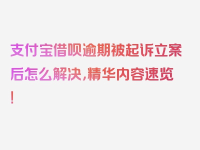 支付宝借呗逾期被起诉立案后怎么解决，精华内容速览！