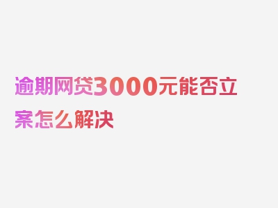 逾期网贷3000元能否立案怎么解决