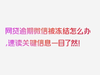 网贷逾期微信被冻结怎么办，速读关键信息一目了然！