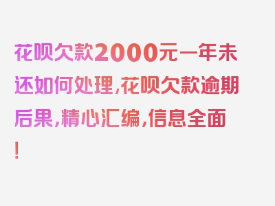 花呗欠款2000元一年未还如何处理,花呗欠款逾期后果，精心汇编，信息全面！