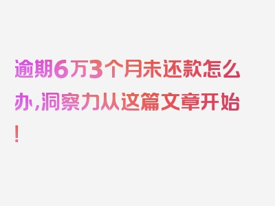 逾期6万3个月未还款怎么办，洞察力从这篇文章开始！