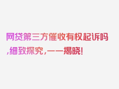 网贷第三方催收有权起诉吗，细致探究，一一揭晓！