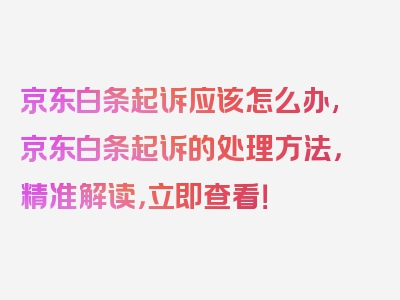 京东白条起诉应该怎么办,京东白条起诉的处理方法，精准解读，立即查看！