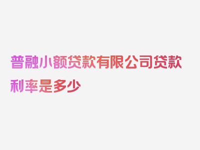 普融小额贷款有限公司贷款利率是多少