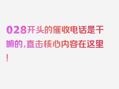 028开头的催收电话是干嘛的，直击核心内容在这里！