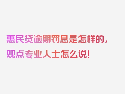 惠民贷逾期罚息是怎样的，观点专业人士怎么说！