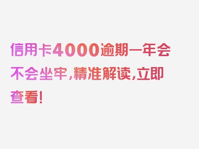 信用卡4000逾期一年会不会坐牢，精准解读，立即查看！