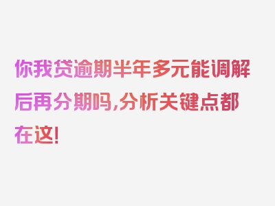 你我贷逾期半年多元能调解后再分期吗，分析关键点都在这！