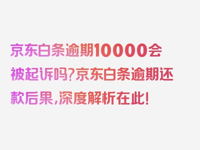 京东白条逾期10000会被起诉吗?京东白条逾期还款后果，深度解析在此！