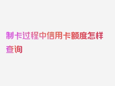 制卡过程中信用卡额度怎样查询